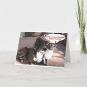 Kaarten: Crapola Feestdagen Kaart (Voorkant)