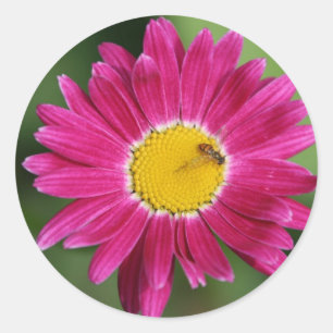 Kaarten en meer, geverfd ronde sticker