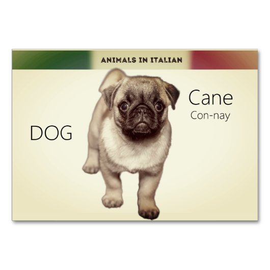 Kaarten in de Italiaanse taal Dog Animal Flash | (Voorkant)