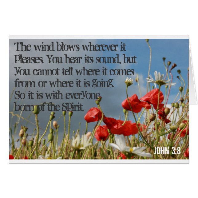 Kaarten - John 3:8 (Voorkant Horizontaal)