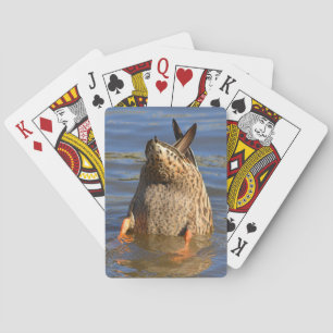 Kaarten om Ondersteboven te Spelen