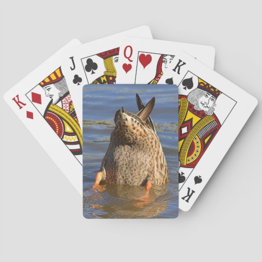 Kaarten om Ondersteboven te Spelen (Achterkant)