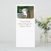 KAARTEN SCHAPEN (Staand voorkant)