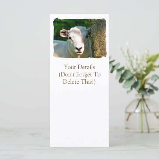 KAARTEN SCHAPEN (Staand voorkant)