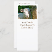 KAARTEN SCHAPEN (Voorkant / Achterkant)