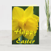 Kaarten van de Bloem van de Gele narcis van de (Voorkant)