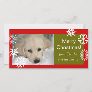 Kaarten van de Foto van Kerstmis van de Hond van