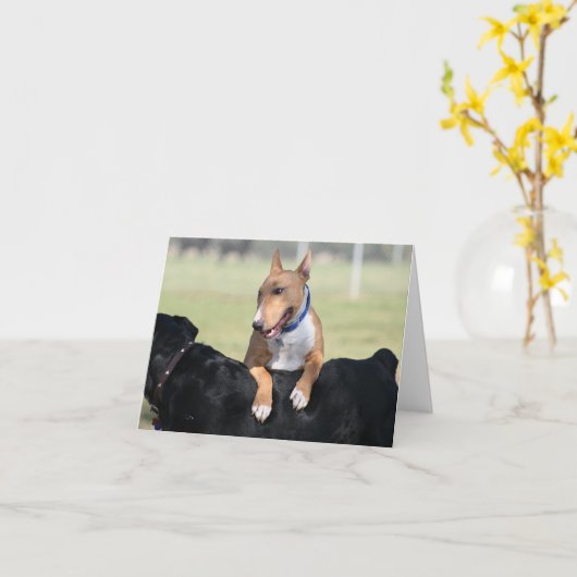 Kaarten van de hond - ik kreeg Uw Rug (Gele Bloem)