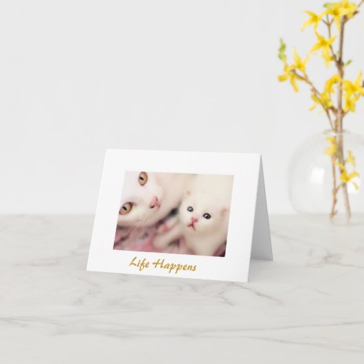 Kaarten van de Kat van de moeder en de Lege van de (Gele Bloem)