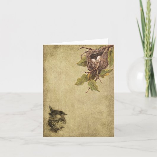 Kaarten van de Nota Lil van vogels & van Nesten (Voorkant)