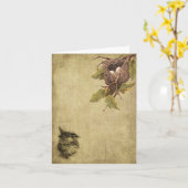 Kaarten van de Nota Lil van vogels & van Nesten (Gele Bloem)