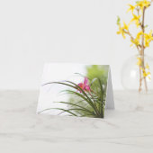 Kaarten van de Nota van de Lelie van de fee de (Gele Bloem)