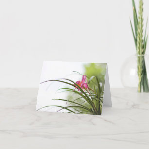 Kaarten van de Nota van de Lelie van de fee de