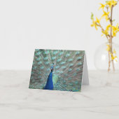 Kaarten van de Nota van de pauw de Lege (Gele Bloem)