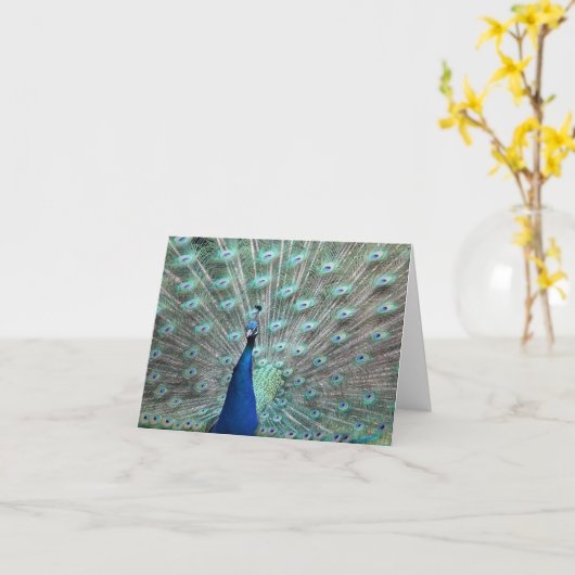 Kaarten van de Nota van de pauw de Lege (Gele Bloem)