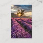 Kaarten voor de begrafenis van de lavender Sunrise Visitekaartje (Voorkant)