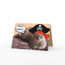 KAARTEN VOOR DE BEHANDELING VAN PIRATE KATTEN EN A
