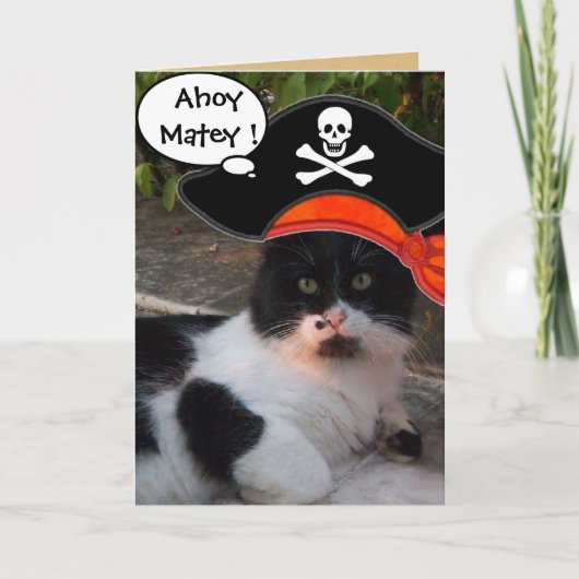 KAARTEN VOOR DE BEHANDELING VAN PIRATE KATTEN EN A (Voorkant)