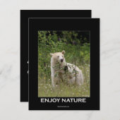 Kaarten voor gedistilleerde Beer (Voorkant / Achterkant)