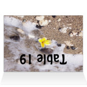 Kaarten voor het instellen van tropische stransple (Binnen Horizontaal (Boven))