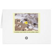 Kaarten voor het instellen van tropische stransple (Achterkant Horizontaal)