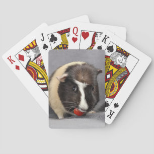 Kaarten voor het spelen van varkens in de Middella