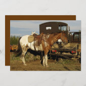 Kaarten voor het uitnodigen van paarden voor Appal (Voorkant / Achterkant)