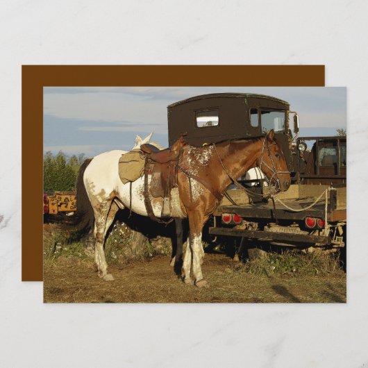 Kaarten voor het uitnodigen van paarden voor Appal (Voorkant / Achterkant)