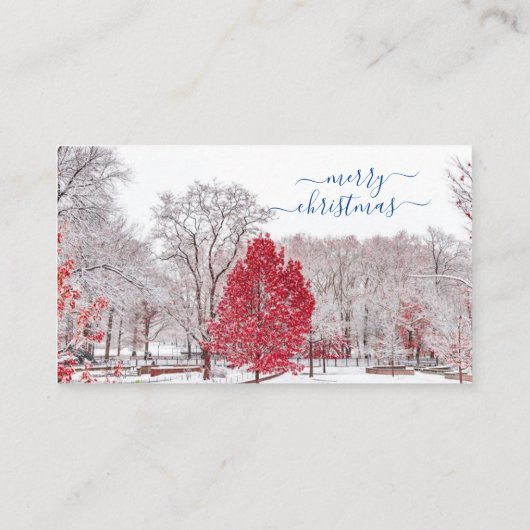 Kaarten voor pretkerst plaatskaartje (Achterkant)