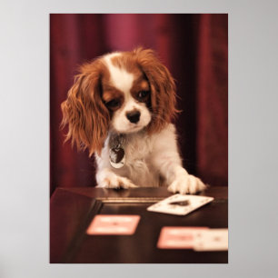 Kaarten voor puppy Speelt Poster
