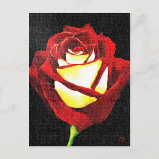Kaarten voor rood en wit Roos (Voorkant)
