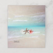 Kaarten voor tapijtschelp plaatskaartje (Buitenkant ongevouwen)