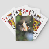 Kaarten voor trekvogels (Achterkant)