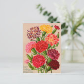 Kaarten voor  zaaizaad, postage en cadeaus (Staand voorkant)