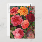 Kaarten voor zaaizaad, postage en cadeaus (Voorkant / Achterkant)