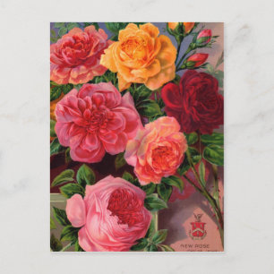 Kaarten voor zaaizaad, postage en cadeaus