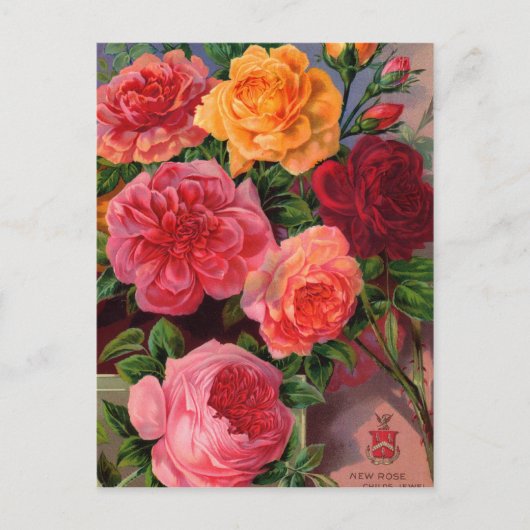 Kaarten voor zaaizaad, postage en cadeaus (Voorkant)