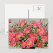 Kaarten voor zaaizaad, postage en cadeaus (Voorkant / Achterkant)