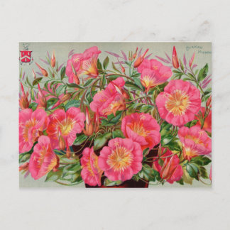 Kaarten voor  zaaizaad, postage en cadeaus