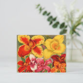 Kaarten voor zaaizaad, postage en cadeaus (Staand voorkant)