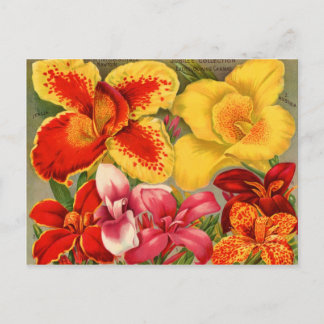 Kaarten voor  zaaizaad, postage en cadeaus