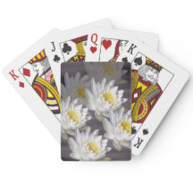 Kaarten Wit Afbeelding Wild Water Lily