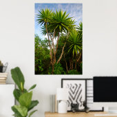 Kaartenboom (Dracaena Concina), Ile Aux Poster (Thuiskantoor)