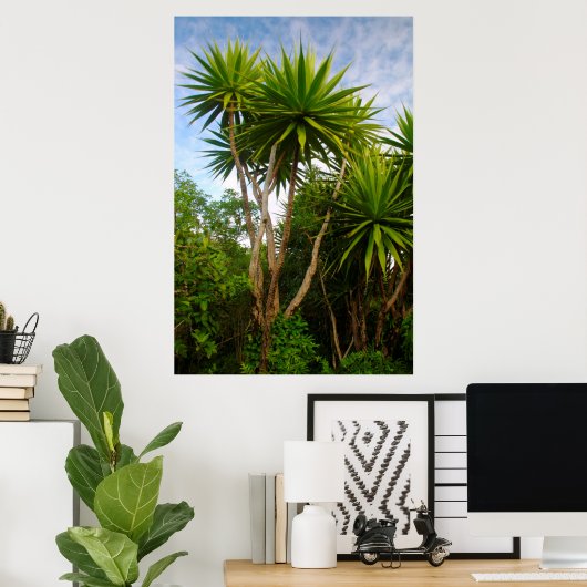 Kaartenboom (Dracaena Concina), Ile Aux Poster (Thuiskantoor)