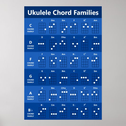 Kaartenwisselaarschema van het Koord van de Famili Poster (Voorkant)