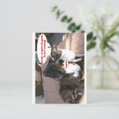 Kaartjes: Crapola Briefkaart (Staand voorkant)