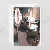 Kaartjes: Crapola Briefkaart (Voorkant / Achterkant)