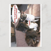 Kaartjes: Crapola Briefkaart (Voorkant)