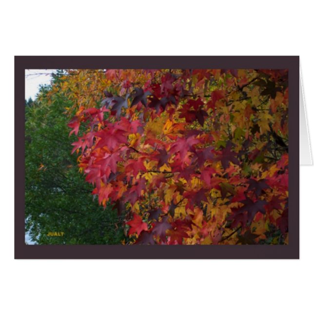 Kaartlandschap 16 (Voorkant Horizontaal)