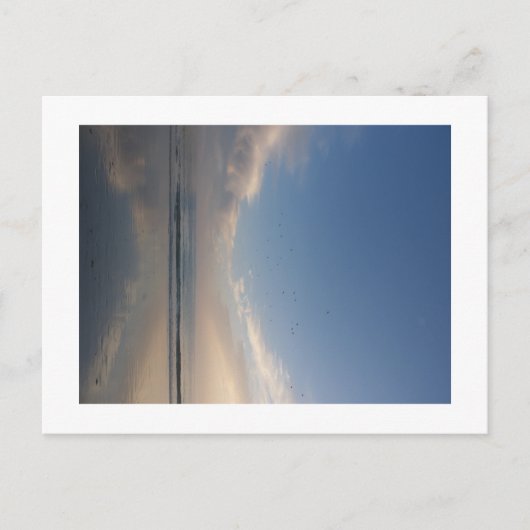 kaartschelp oceaan briefkaart (Voorkant)